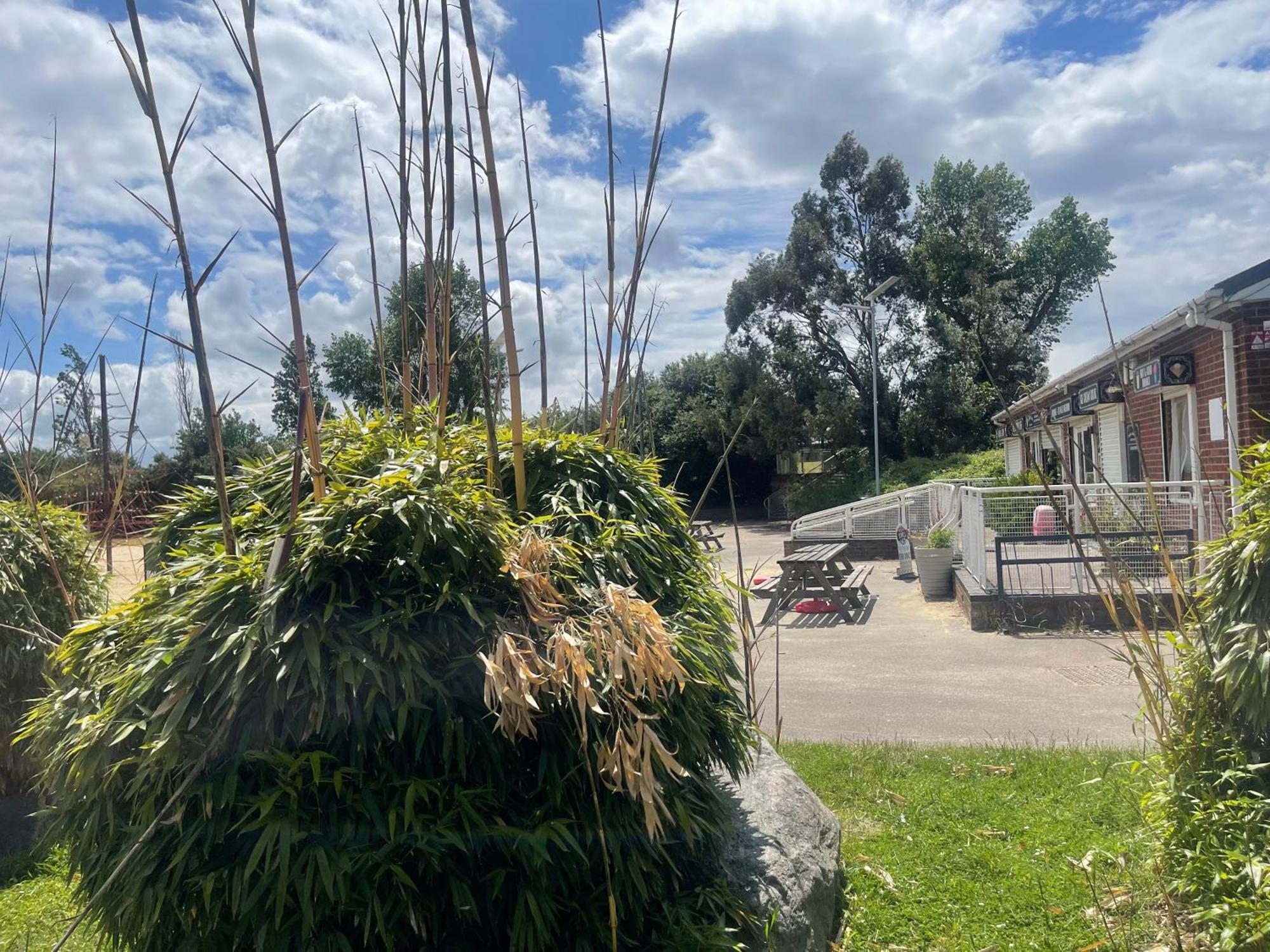 Cosy Flat Behind A Creekbeach In Grays Екстериор снимка